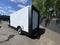 2023 BrightDrop Zevo 600 EJY
