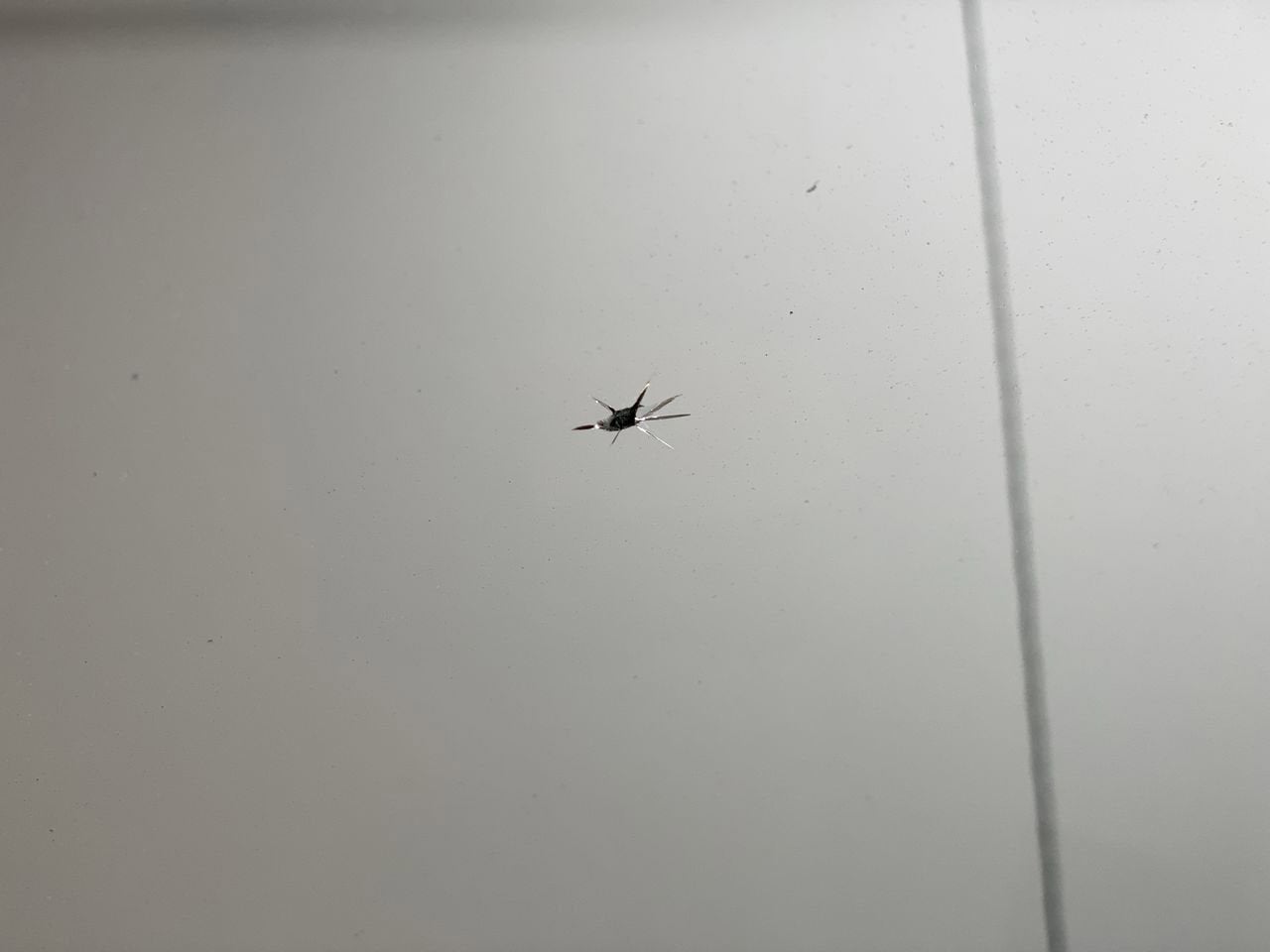 2007 Toyota Tundra LTD